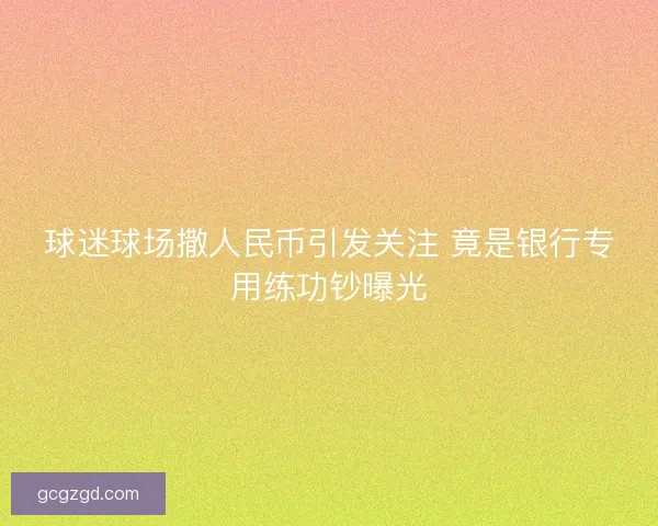 球迷球场撒人民币引发关注 竟是银行专用练功钞曝光